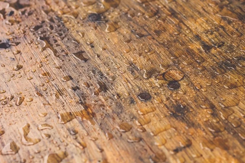 VN Ecofloor SPC flooring